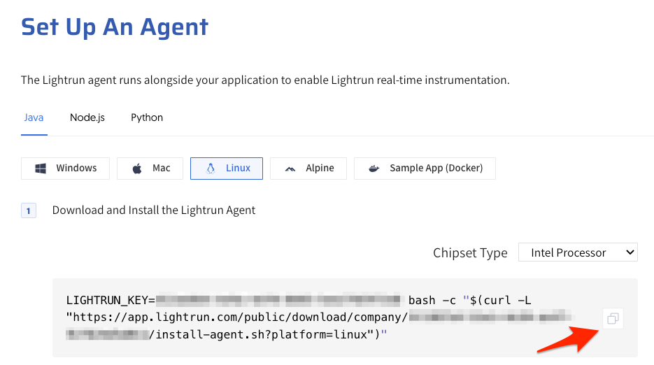 Setup Lightrun Agent